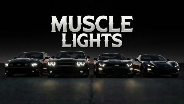Muscle Lights 